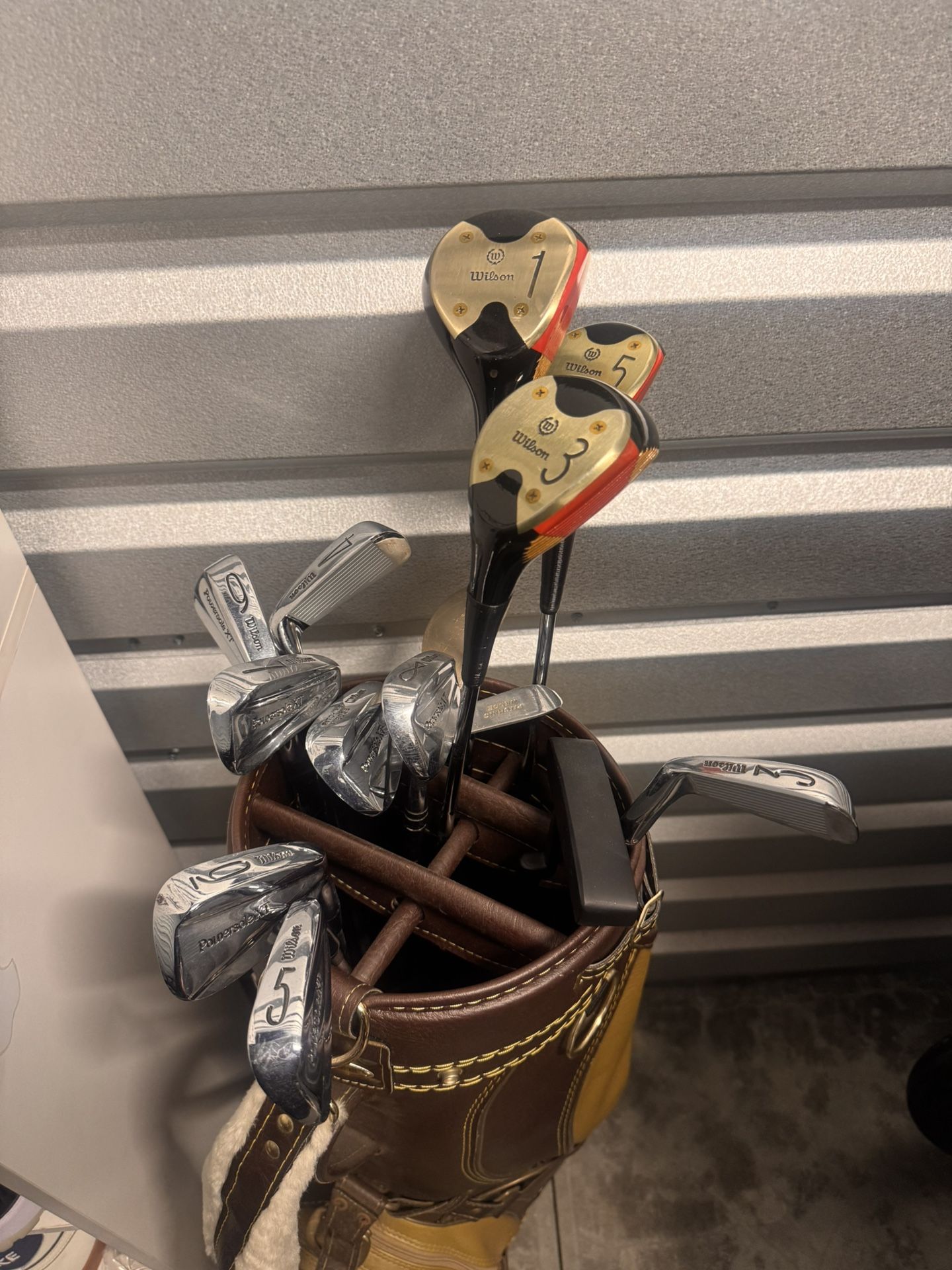 Golf Clubs w/ Vintage carry bag.