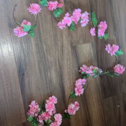New