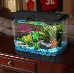 5 GALLON FISH TANK