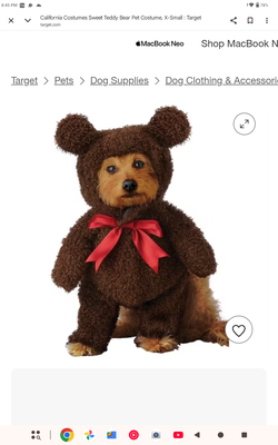 How cute doggy costume (read the description below)