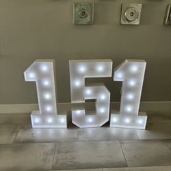 Light Up 3 Ft Numbers. 