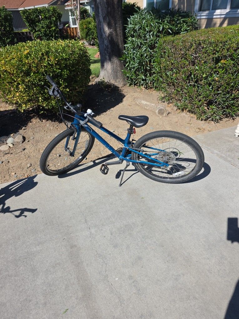 Specialized Jett 24" Wheels