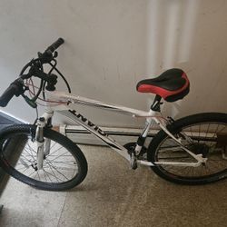 Bicycle ( Giant Brand)