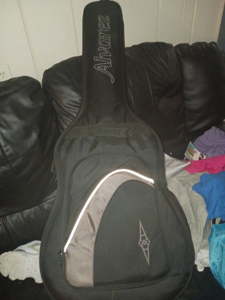 Alvarez And Rogue Acoustics