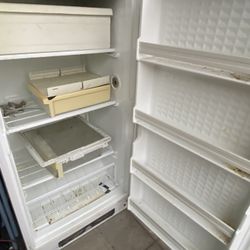 Upright Freezer