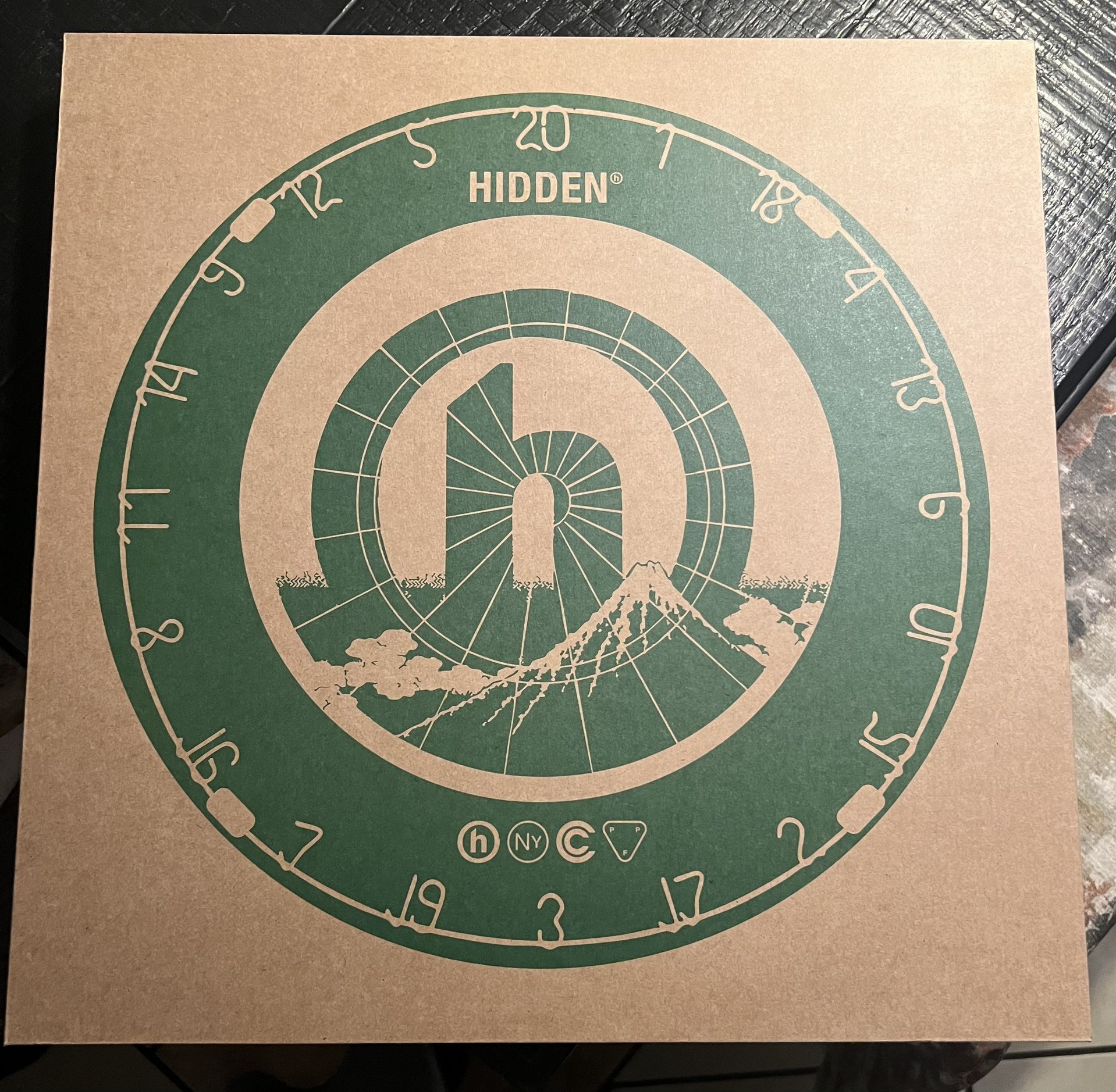 HIDDEN dart board