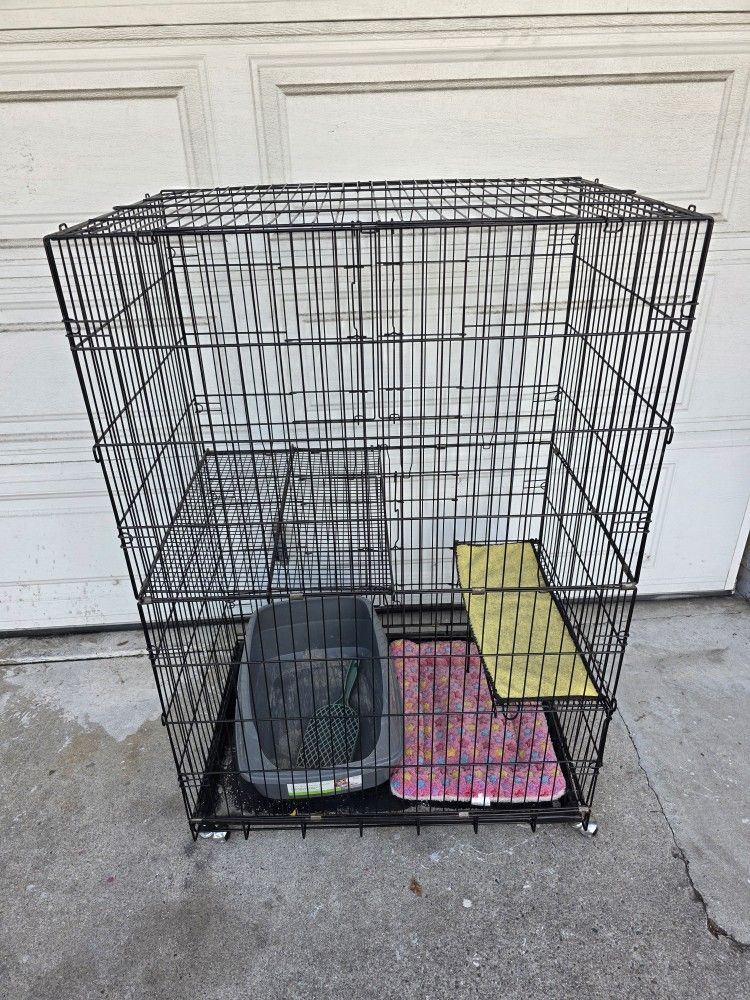 Kennel
