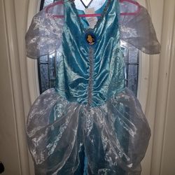 Disney Cinderella dress