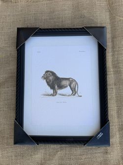 Lion Print Image