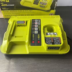 Ryobi ONE+ P137 Lithium-Ion Dual Platform Charger