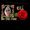 Eli… Be the Rose