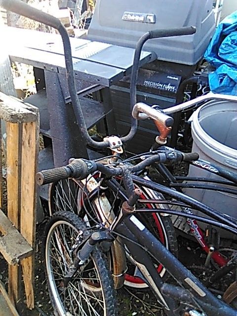🏖️Beach Cruiser Bike🚲