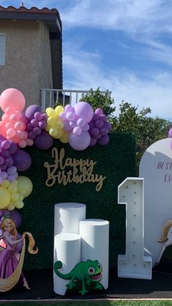 Rapunzel Setup / Tangled
