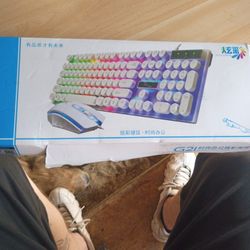 G21 Fashion Office Dazzle Color SUIT