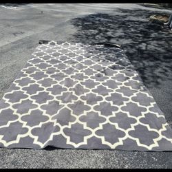 Large Area rug