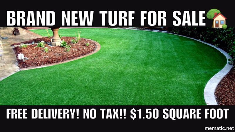 Brand new turf grass