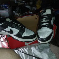 Nike Hardley Used Tempo Dunks