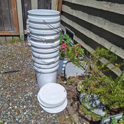 5 gallon buckets with lid (10 quanity)