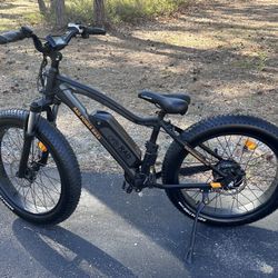RadRover Electric Fat Bike - used 5 times - 18 miles total odometer