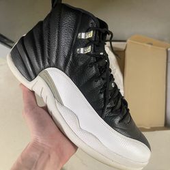 Size 11 Jordan 12
