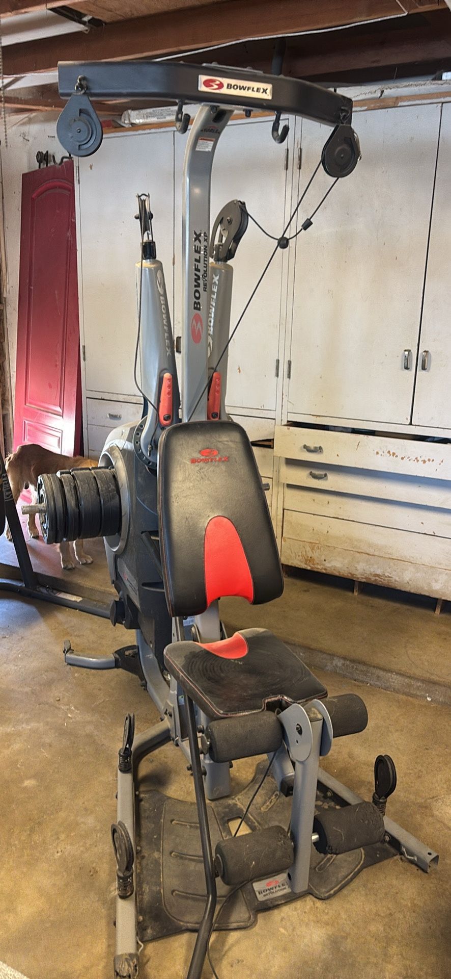 Gym Equipment