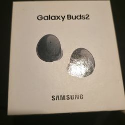 Galaxy Buds 2