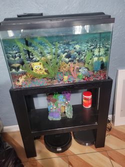 Aquarium complete with the base. 40 gallon