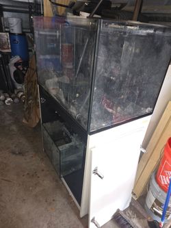 Aquarium red Sea 65 gallon