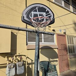Lifetime Basketball Hoop 