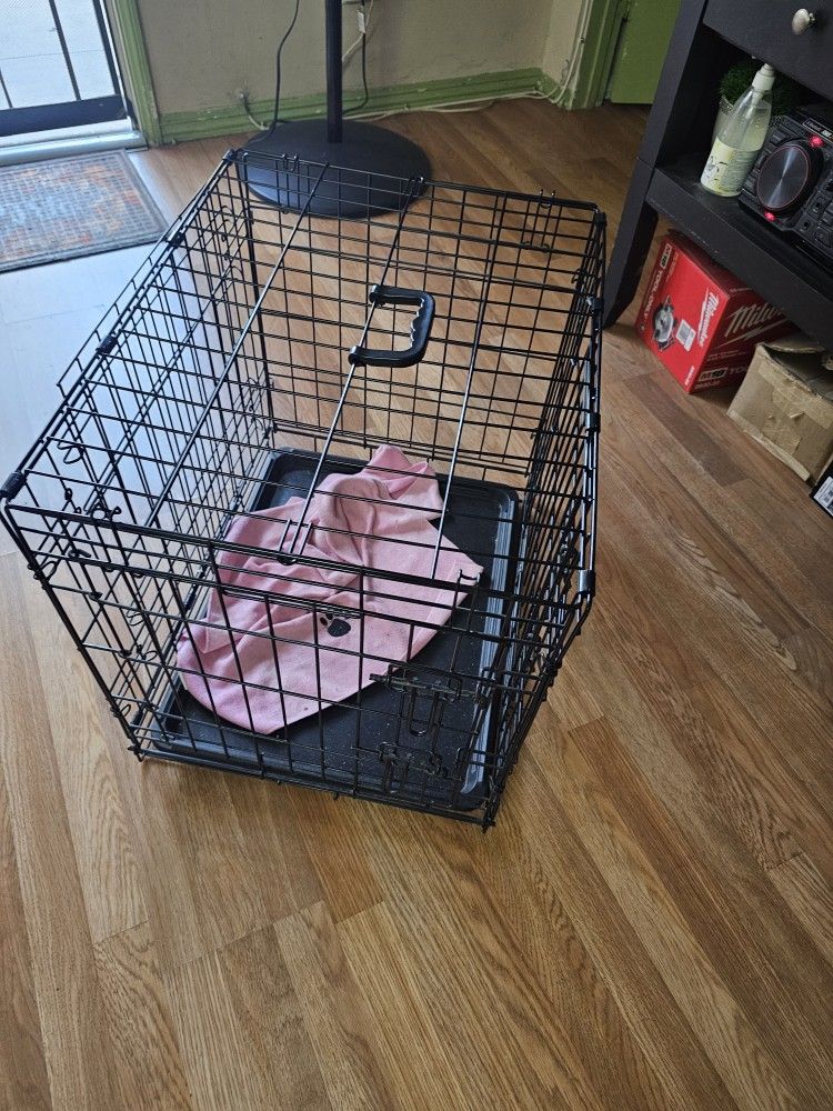 Esta Casinueva  Es Para Perro Chico