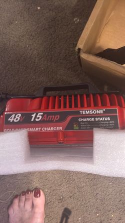 Golf cart charger