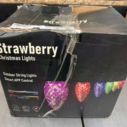 Brighton’s c9 LED Christmas lights outdoor 150LED RGB smart Christmas tree lights music sync DIY APP