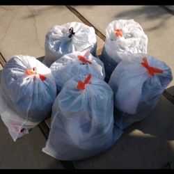 Women's Clothing For Trade 