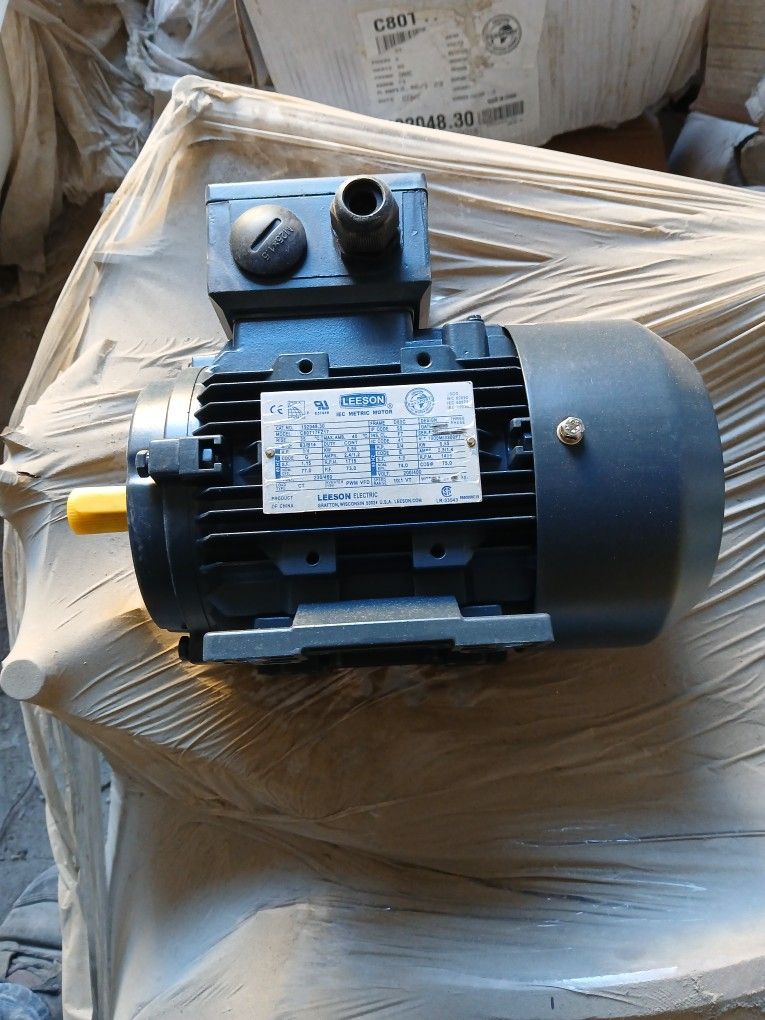LEESON ELECTRIC MOTOR