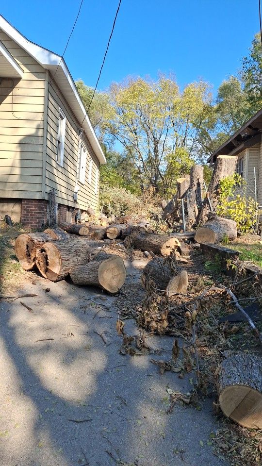 FREE wood In Peoria!!!