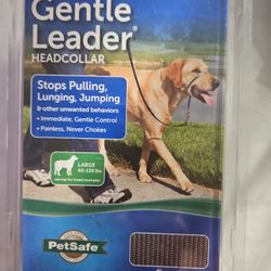 Gentle Leader  Head Collar