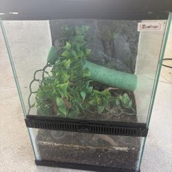 Reptile Enclosures Bio Active And Accessories And Lights