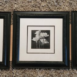 Set Of 3 Matted And Framed Black And White Floral Rose Prints / Photos  - 17" X 17" Each