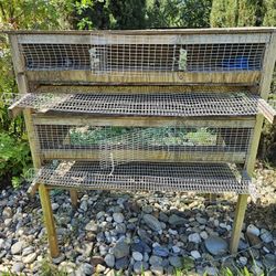 Quail Cage (Coop)