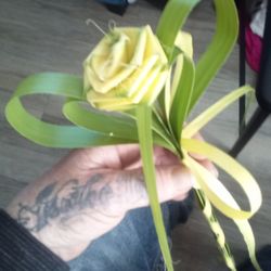 “Handmade Palm Leaf Roses 🌹 ”