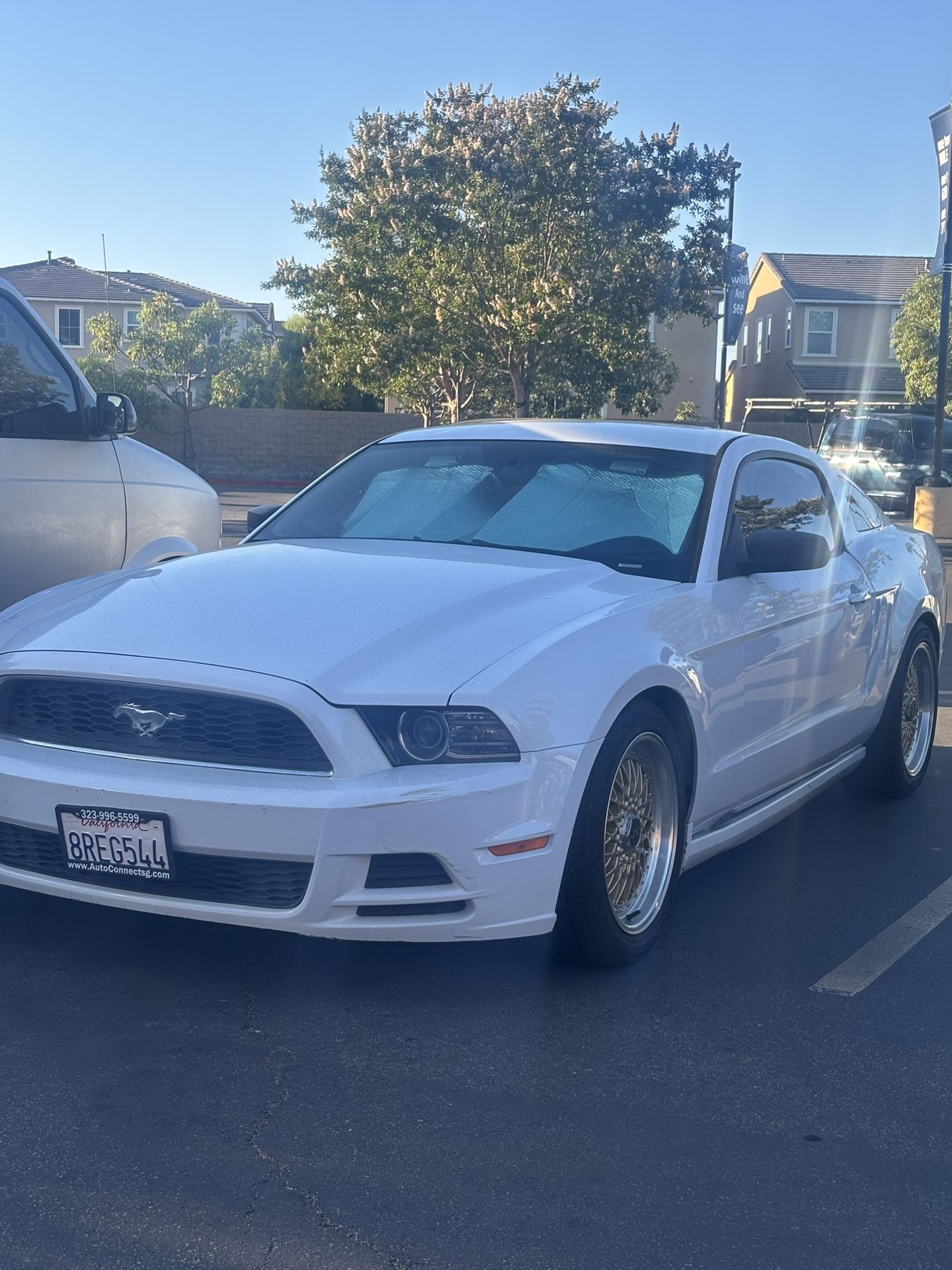 Mustang V6
