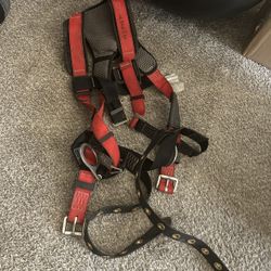 Palmer Safety Harness 