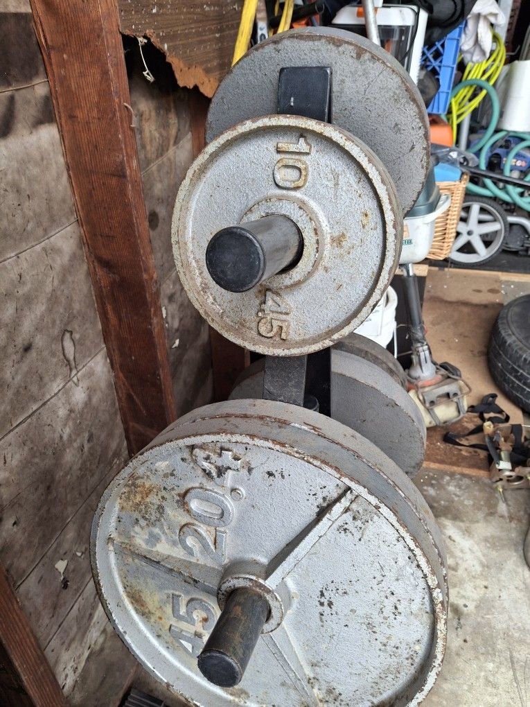 Weights For Gym