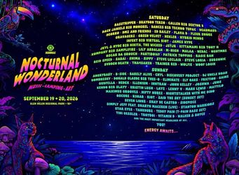 Nocturnal wonderland camp wristbands only