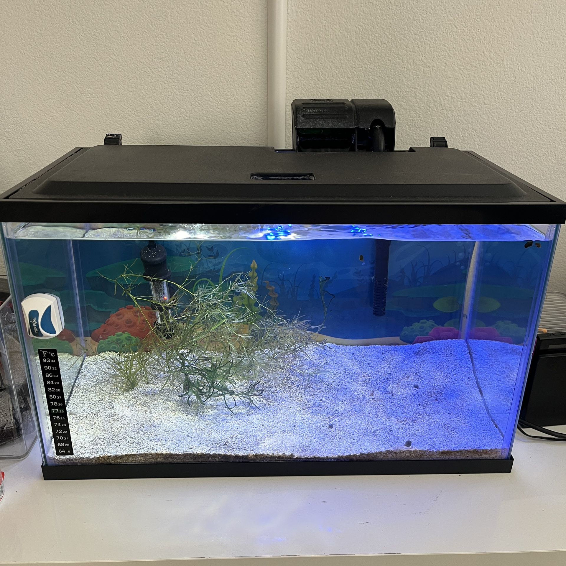 GloFish Glass Aquarium Kit 10 Gallon, 20" L X 10 " W X 12" H