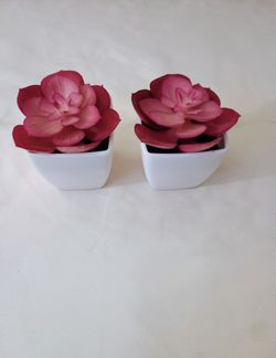 Two NEW Mini Faux Succulents in Mini Pots