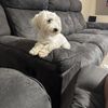 Arturo