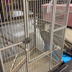 Bird/parrot Cage