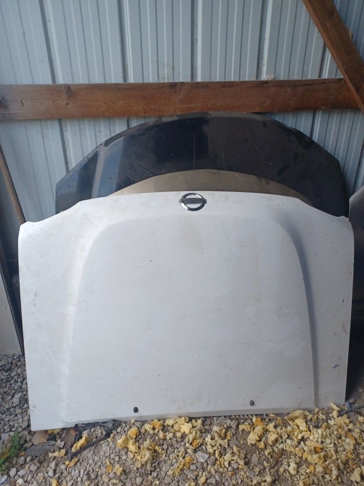 03 Xterra Hood