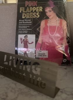 Medium Pink Flapper Dress w/Dress, Gloves, Headband